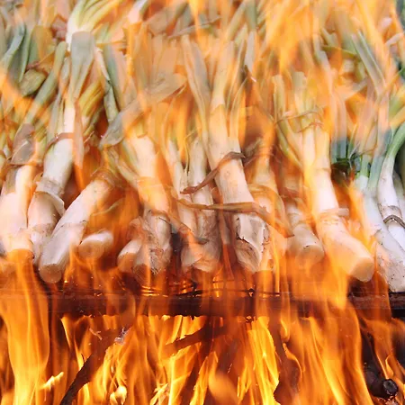 Tarragona ホテル 3*